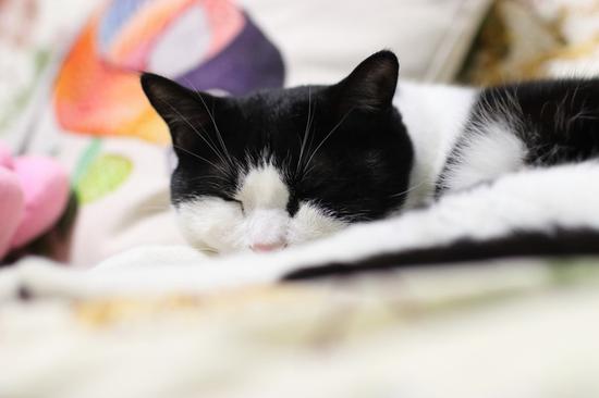 光圈：F2.3 快门：1/64 sec ISO：1600