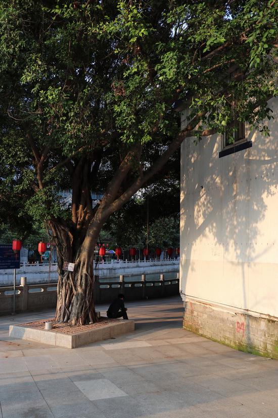 光圈：F5 快门：1/128 sec ISO：100