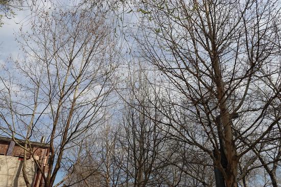 光圈：F5.7 快门：1/512 sec ISO：100