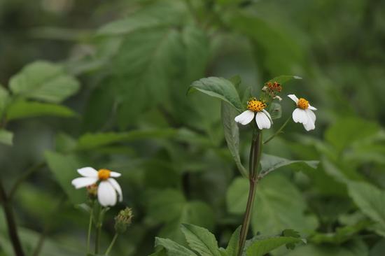 光圈：F5.7 快门：1/256 sec ISO：100