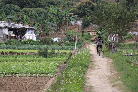 光圈：F5.7 快门：1/2048 sec ISO：1600