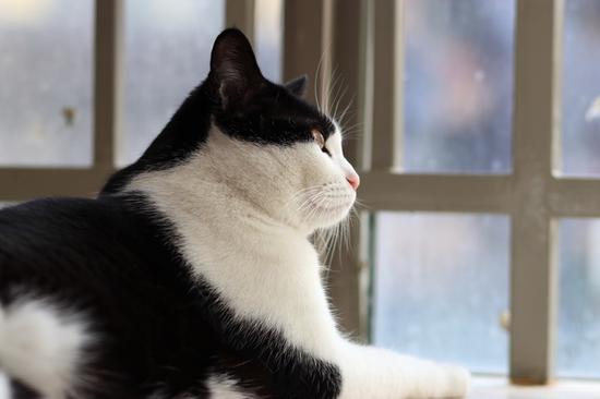 光圈：F2.8 快门：1/128 sec ISO：200