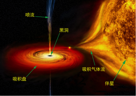 卡冈图雅:视界面望远镜:为黑洞拍下史上第一张“照片” 图二:恒星级黑洞系统示意图