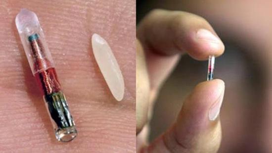 人体芯片:赛博格降临?瑞典公司尝试人体芯片植入 芯片和米粒的对比