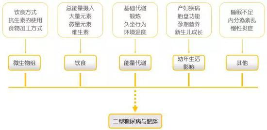 ?图5 后天环境和生活方式对肥胖与II型糖尿病的影响