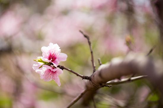 佳能EOS M3实拍样张