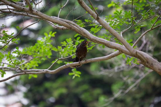 实力晒性价比!腾龙SP 70-200mm F2.8 G2镜头