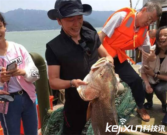 天价鱼卖出347万:网友一脸懵逼这是黄金鱼吗?