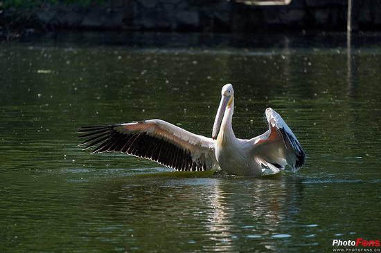 拉近距离 索尼G大师镜头SEL100400GM评测|