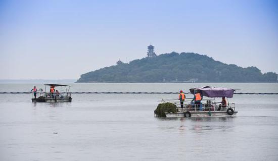 5月3日,工作人员在鼋头渚风景区的太湖湖面上打扫水草与蓝藻 杨磊摄