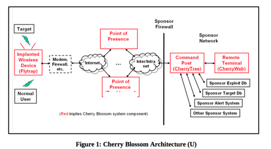 (CherryBlossom结构示意图)