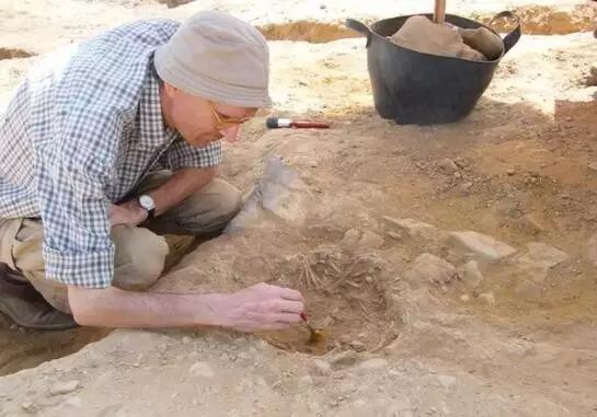 研究人员在埃及发掘猫的遗骸  图片来源：Hierakonpolis Expedition