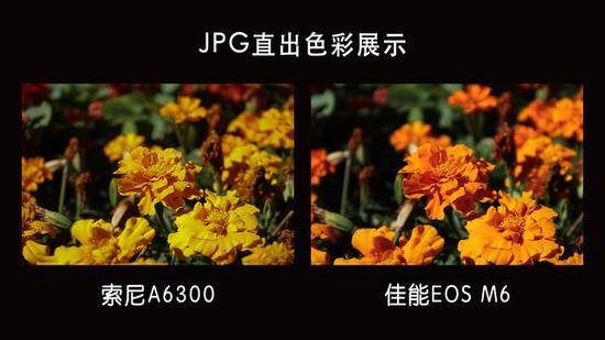出门旅游选谁 佳能EOS M6对比索尼A6300相机
