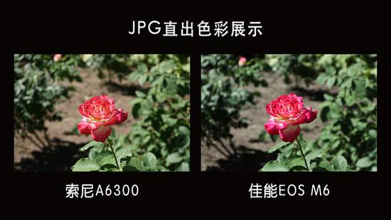 出门旅游选谁 佳能EOS M6对比索尼A6300相机