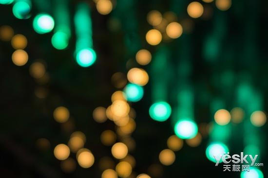 人像微距两相宜 索尼SEL100F28GM镜头测评