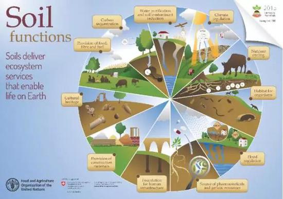 土壤的功能：生长植物、调节气候、净化水和保存文化遗产等