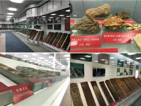 中国科学院南京土壤研究所土壤标本馆部分内景及展出样本