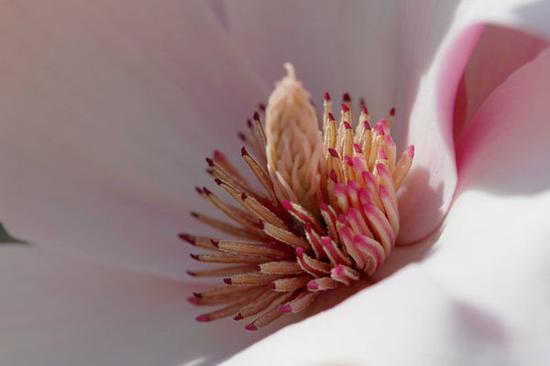 茴香的茴字有几种写法 聊聊那些相机的英文单