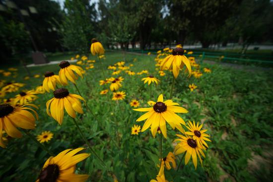 超广角小钢炮 索尼FE12-24mm F4 G评测|配件