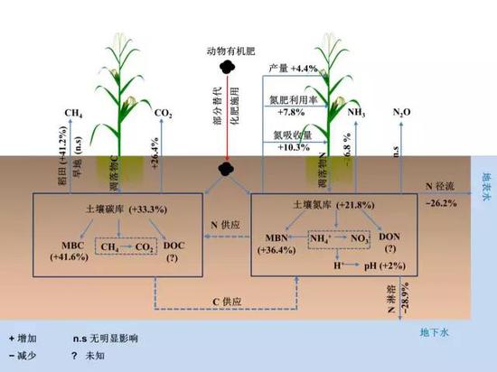 动物有机肥还田部分替代化肥施用对于粮食安全、活性氮损失及温室气体排放的综合影响 (结果为替代比例为0~100%的平均值)