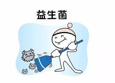 益生菌是药吗:流言揭秘:益生菌真的是“万能药”吗?