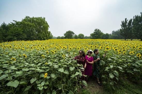 全画幅微单最广镜头 索尼FE12-24mm F4 G评