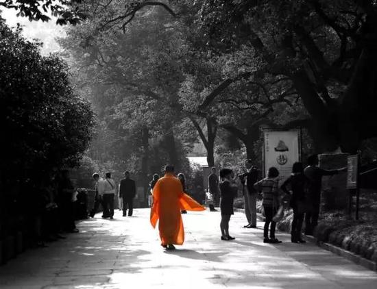 一位法师疾步穿过寺庙中的芸芸信众之间。