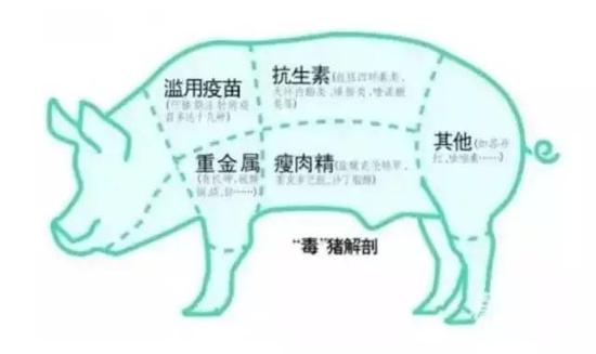 河流被抗生素污染 “这些兽药经常打得多到我们自己都怕!” 广东省肇庆市莲花镇大步村生猪养殖户老廖说。
