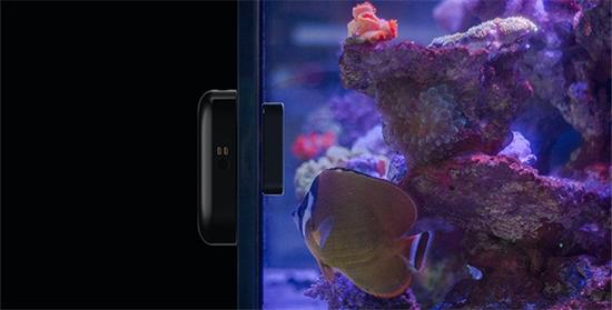 像头监控 鱼奴就得用机器人了|机器人|摄像头|清洁