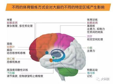 控制欲望和减压放松的良方