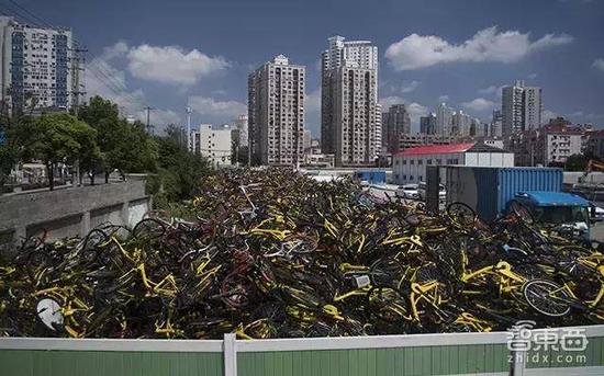 上海，单车堆起高出墙头 