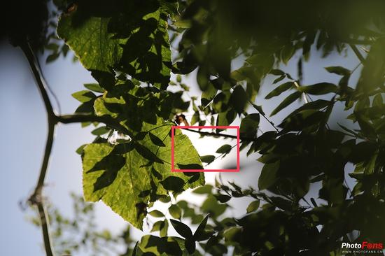 大三元标变新镜皇 适马24-70mm F2.8 Art评测