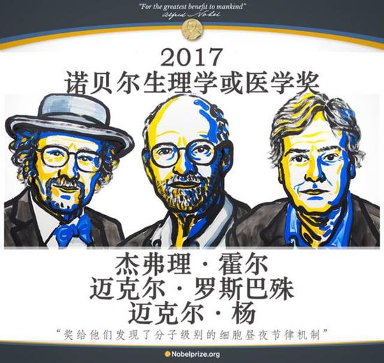 生物三节律:科学家热评生理或医学奖:节律,探寻生物体内时刻表 图片来源:www.nobelprize.org