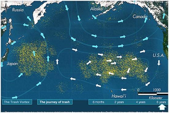 （太平洋垃圾带，图自：hococonnect）