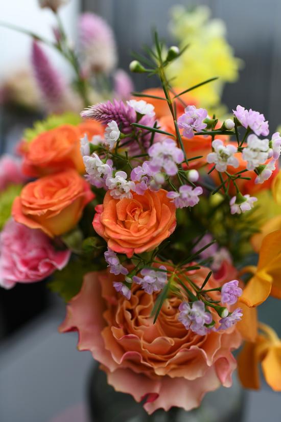 这可能是尼康最好用的机器 尼康D850评测|尼康