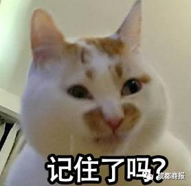 男子被猫抓伤没在意数月后死亡:猫也传染狂犬病 疾控专家表示:只要是被温血动物所伤,都有带狂犬病毒的可能,无论大伤小伤都应及时接种疫苗,一定不能大意。