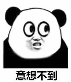 男子被猫抓伤没在意数月后死亡:猫也传染狂犬病