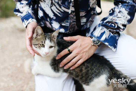 f/2.5  1/400  ISO1600