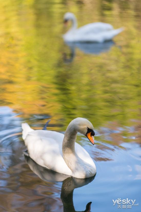 f/1.8  1/400  ISO64