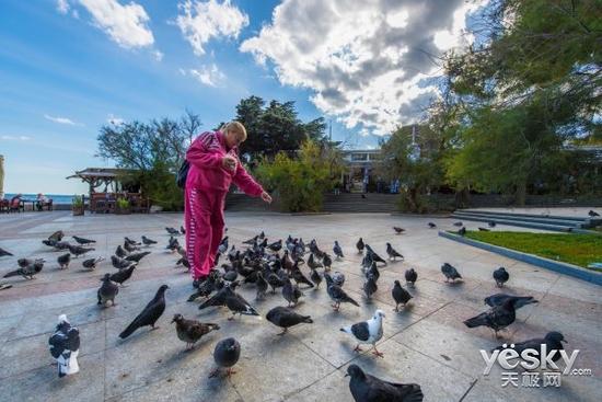 f/6.3  1/400  ISO80