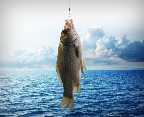 受伤 中国这款良心之作拿到设计奖|鱼钩|钓鱼|鱼食