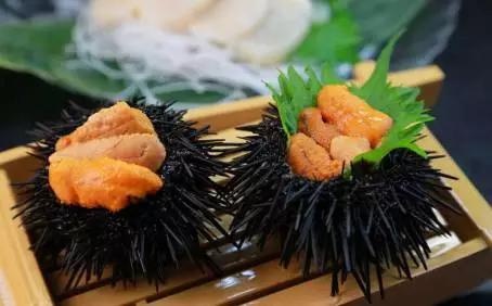 捕食者的痛:动物界“刺头”盘点 刺头豪猪首当其冲 海胆刺身