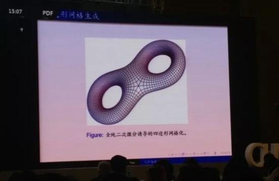 此外,全纯二次微分的网络中间有个六边形的变化。