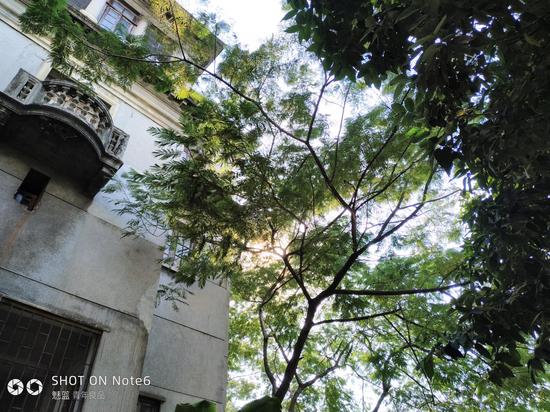 谁是真正的千元标杆?荣耀7X对比魅蓝Note6|荣