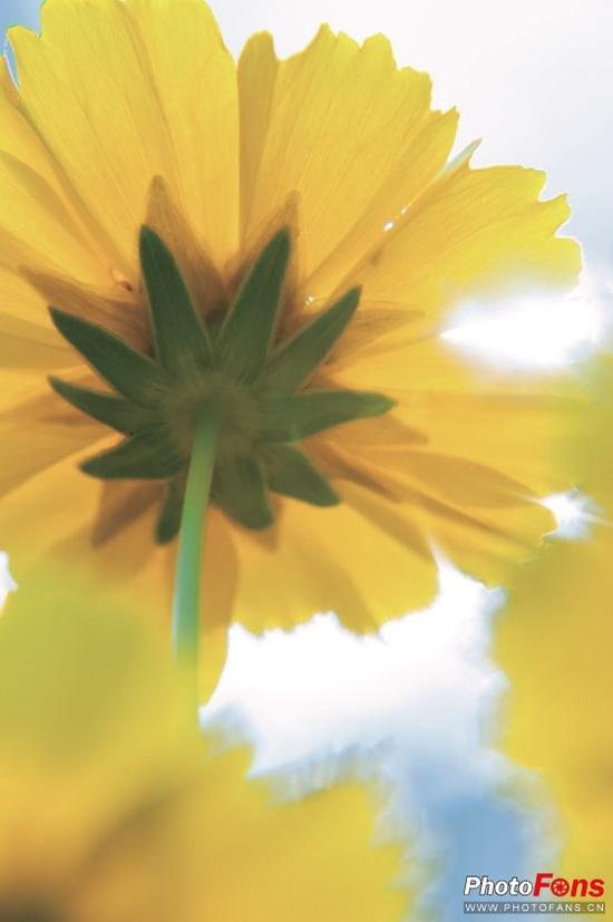 改变视线高度 玩转个性拍摄角度|拍摄技巧|取景