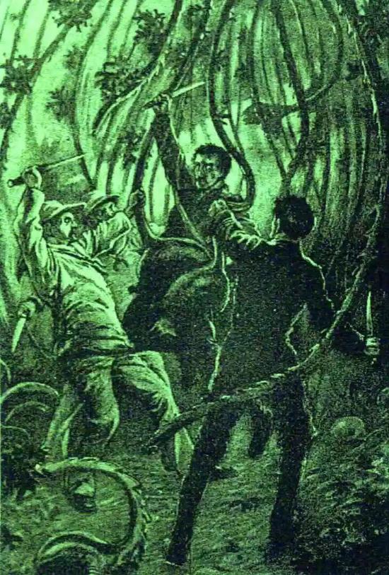 猪笼草图片吃人 1899年9月,《海滨杂志》(Strand Magazine)中描绘的一棵食人树。图源:karlshuker