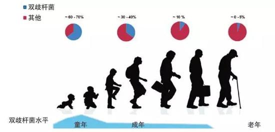 双歧杆菌在各年龄段人体中的水平