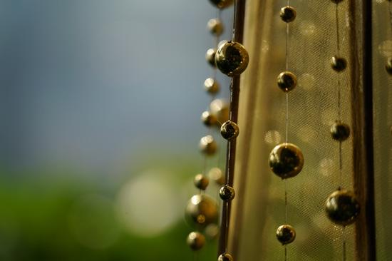 轻量化全画幅标变 索尼FE 24-105mm F4 G OS