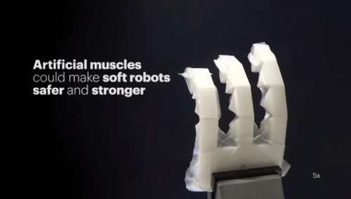 MIT和哈佛造出拥有超大力量人造肌肉：材料不到1美元