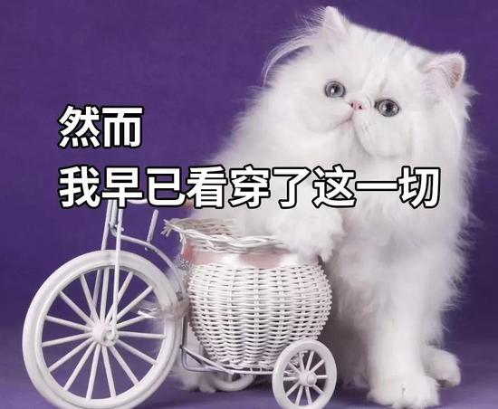 能兑换现金的网络游戏·综合消息:海外各界谴责香港暴力分子行径 呼吁早日恢复社会安定
